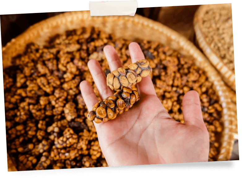 Кофейные зерна